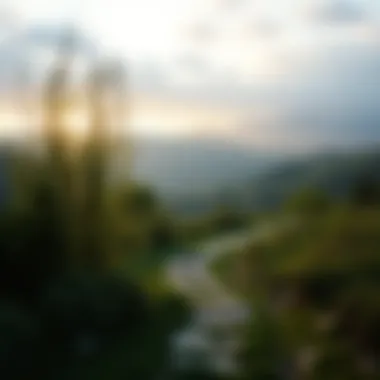 A serene landscape promoting relaxation