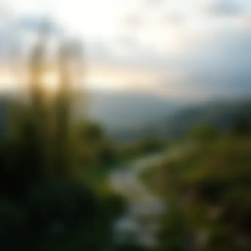 A serene landscape promoting relaxation