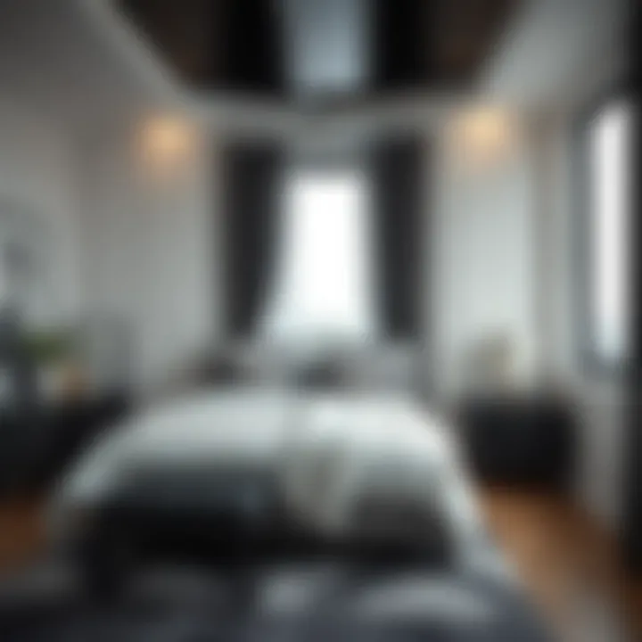 Stylish bedroom with black and white theme