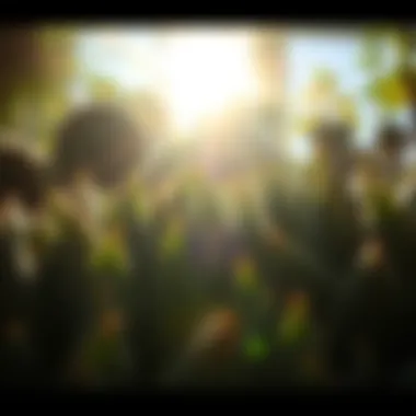 Sunlight filtering through succulent foliage