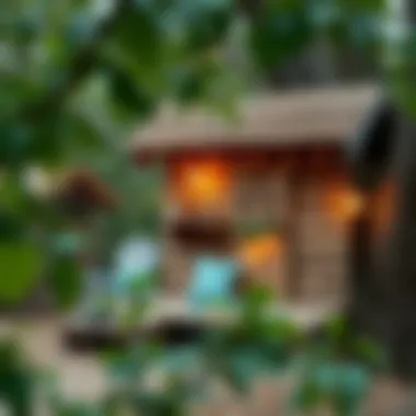 Creative DIY decor ideas for tree houses