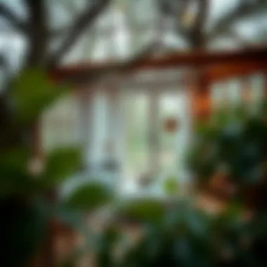 Functional space arrangement in a tree house setting