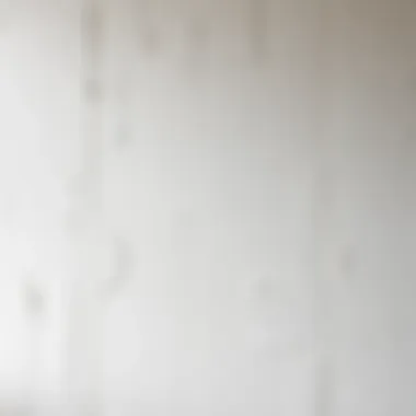 Unique paint textures applied to walls