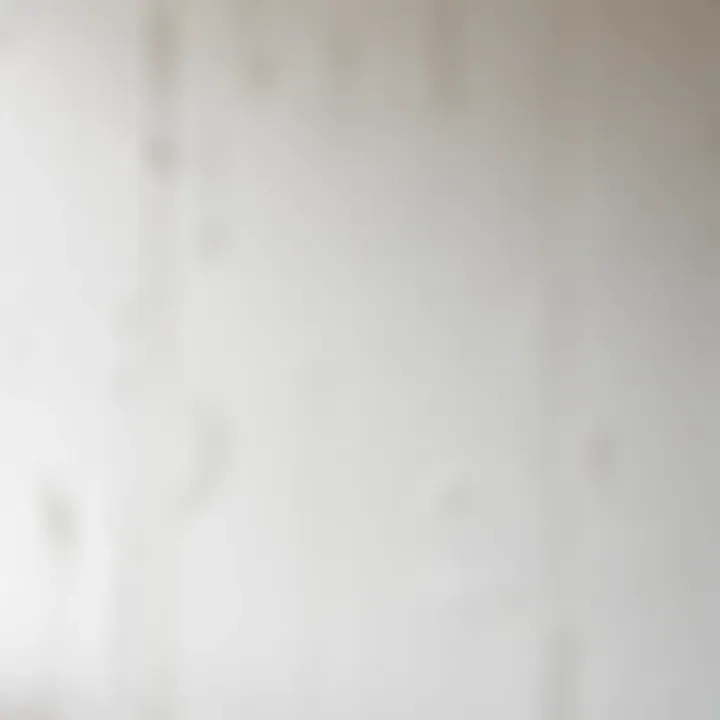 Unique paint textures applied to walls