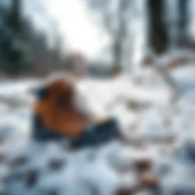 Winter hiking boots on a snowy trail