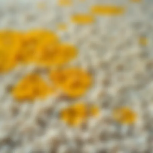 A close-up view of a carpet showing yellowing stains