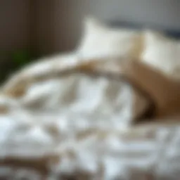 Cozy and clean bedding showcasing a freshly washed duvet