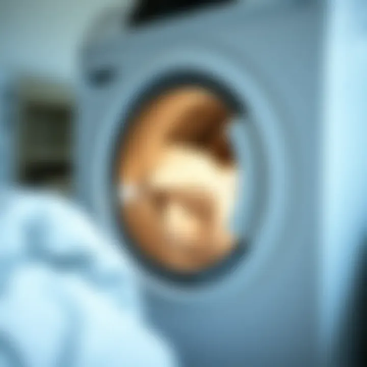 Washing Machine Settings for Duvets Illustration of washing machine settings for duvets