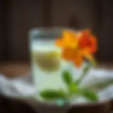 Nutrient Benefits of Egg Water Nutrient-rich egg water for flower growth